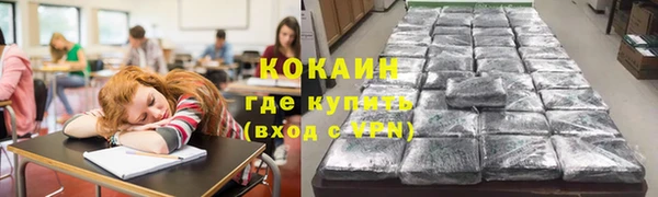 соль ск Арсеньев