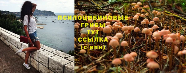 MESCALINE Аркадак