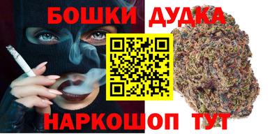 сатива Нальчик