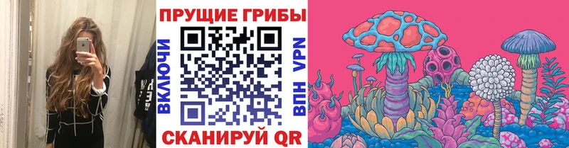 mega   Шатура  Галлюциногенные грибы GOLDEN TEACHER 