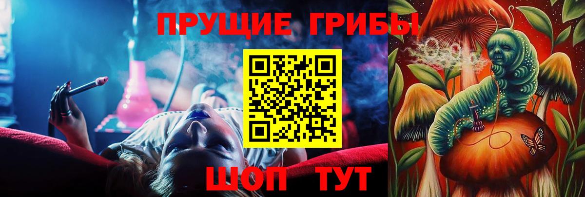 Шатура  Псилоцибиновые грибы Cubensis  Вход с VPN 