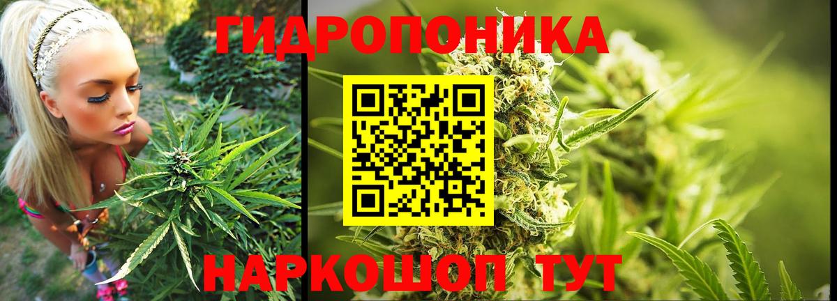 Шатура  Канабис индика  МАРИХУАНА планчик  Вход с VPN  Бошки Шишки LSD WEED 